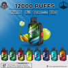 North FT12000 Puff Rechargeable Disposable Vape 10ct/Display